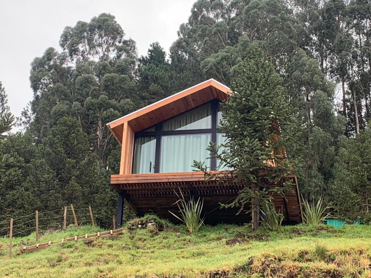 Holiday home Refugio De Altitude - Centro Urupema